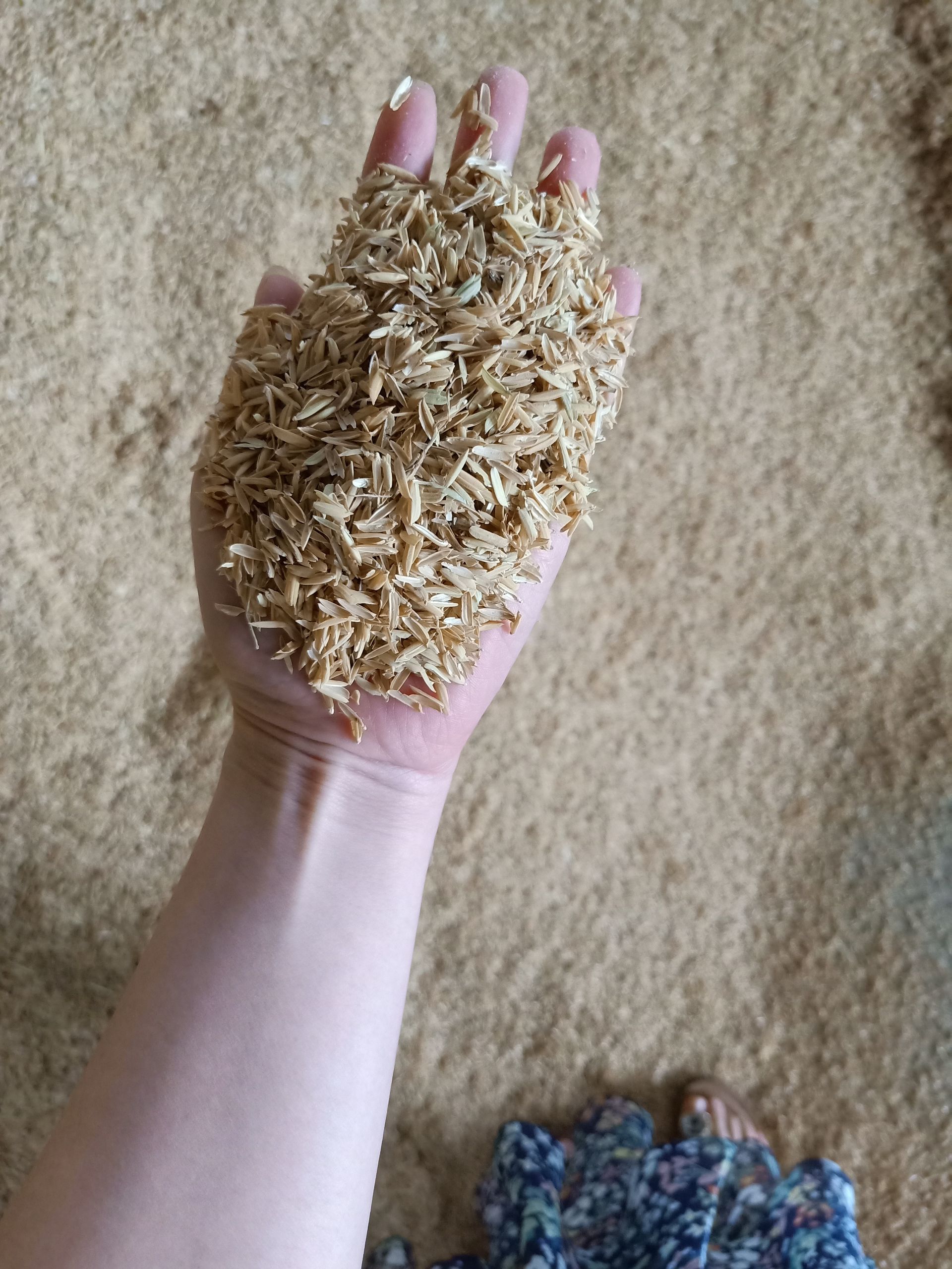 压缩稻壳实物